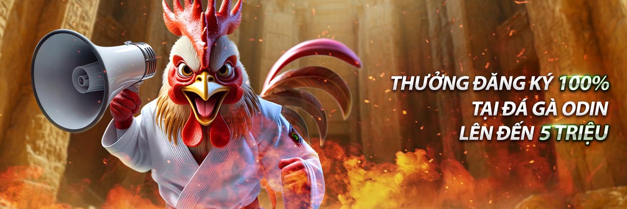 Biểu tượng độ tuổi pháp lý, chỉ ra rằng chỉ người trên 18 tuổi mới được phép tham gia cá cược tại 009bet.